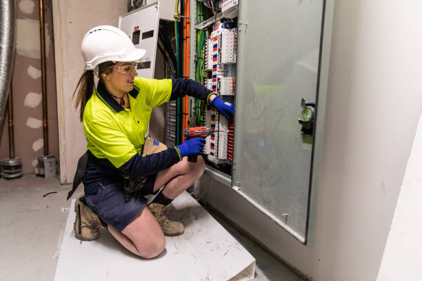 Best Electric Panel Repair  in Black Jack, MO